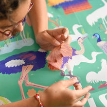 Charger l'image dans la galerie, POSTER PEDAGOGIQUE LES OISEAUX